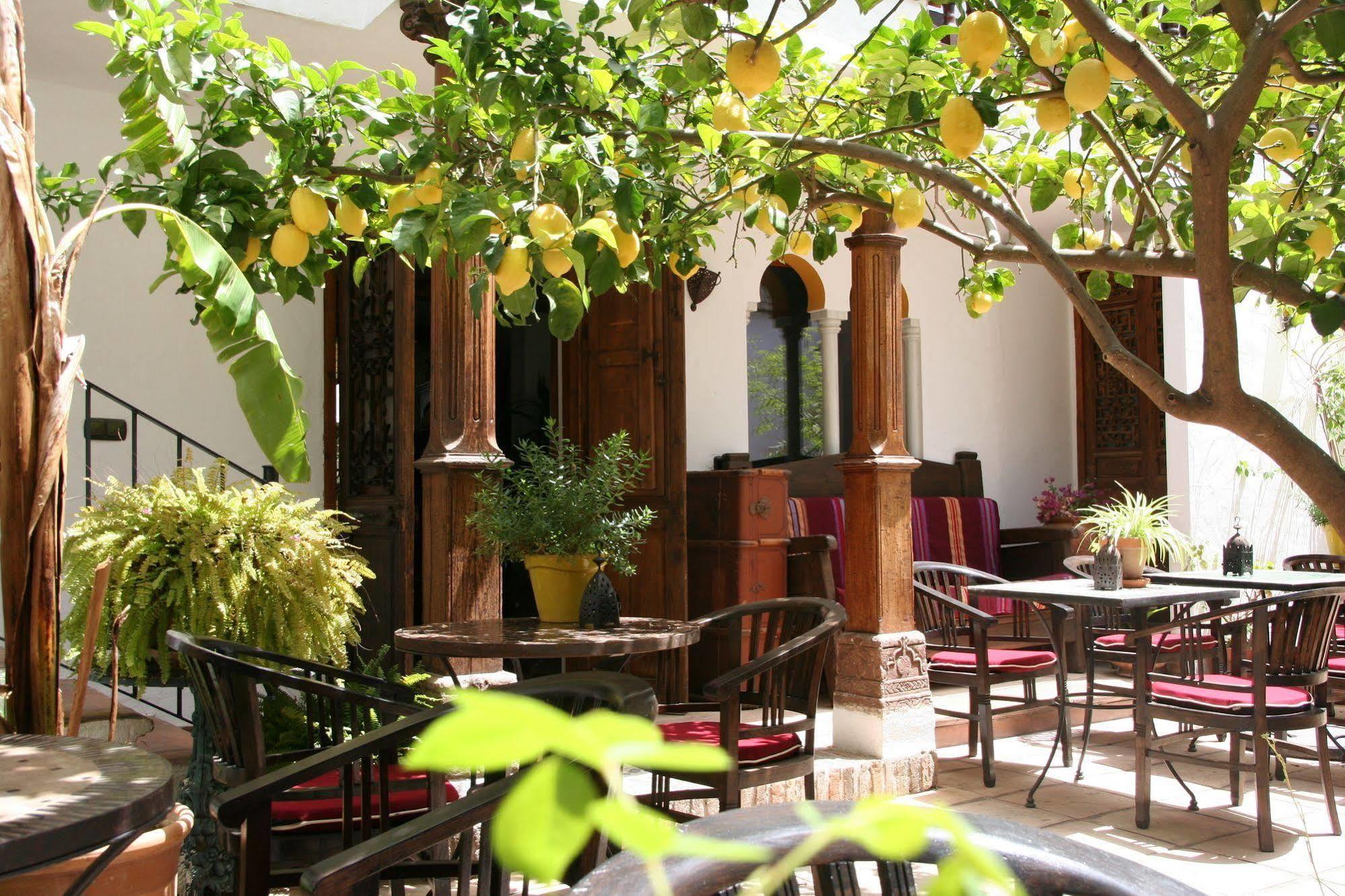 Boutique Hotel La Posada Del Angel Ojén Buitenkant foto